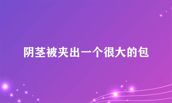 阴茎被夹出一个很大的包