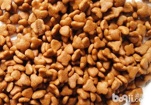 天然粮狗粮什么牌子好呢？