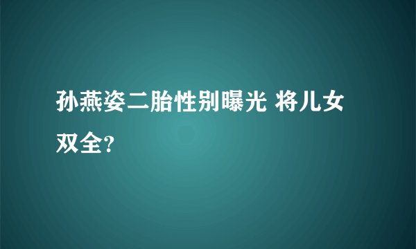 孙燕姿二胎性别曝光 将儿女双全？