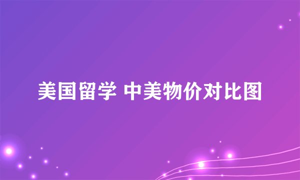美国留学 中美物价对比图