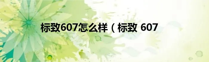 标致607怎么样(标致 607