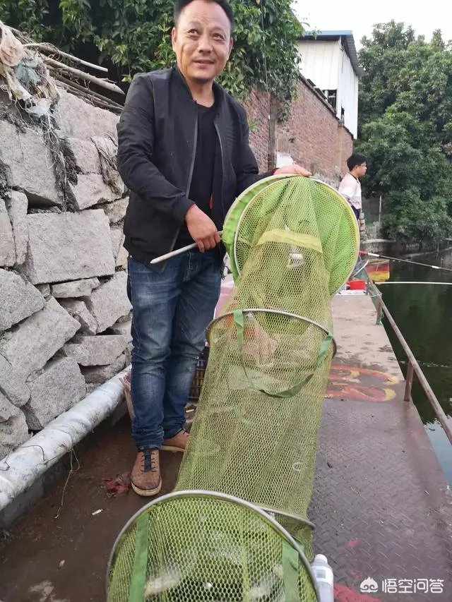 哪里有比较幽静的钓鱼的地方?
