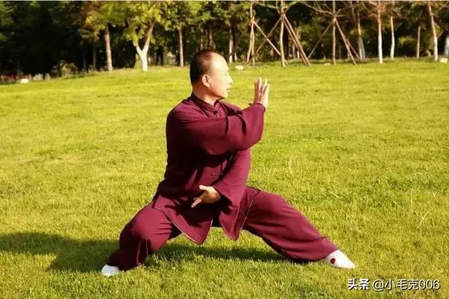 如何评价太极推手?