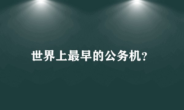 世界上最早的公务机？
