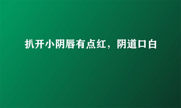 扒开小阴唇有点红，阴道口白