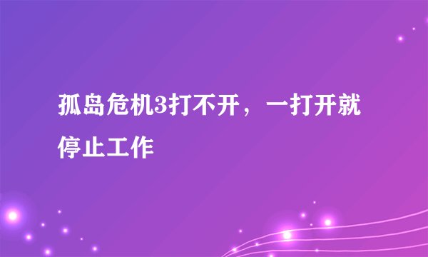 孤岛危机3打不开,一打开就停止工作