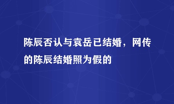 陈辰否认与袁岳已结婚，网传的陈辰结婚照为假的