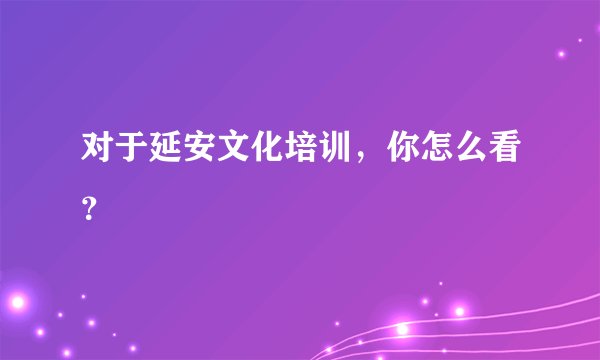 对于延安文化培训,你怎么看?