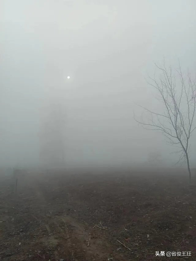 你们有过笔友吗?最后和笔友结果怎么样?