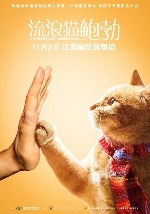 感动无数人的《流浪猫鲍勃》中的原型鲍勃去世!
