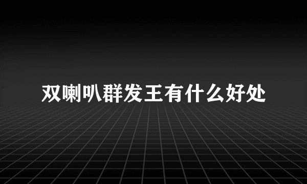 双喇叭群发王有什么好处