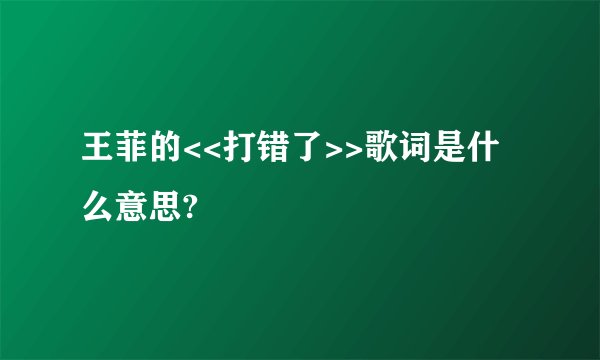 王菲的<<打错了>>歌词是什么意思?