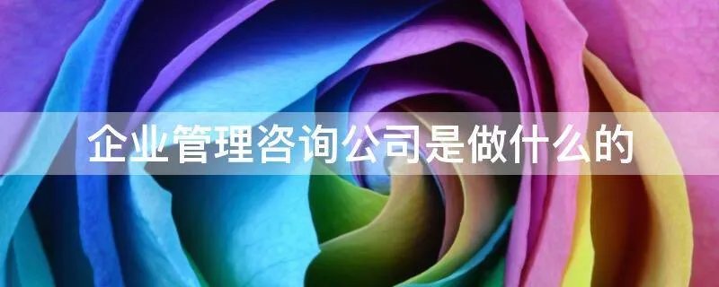 企业管理咨询公司是做什么的