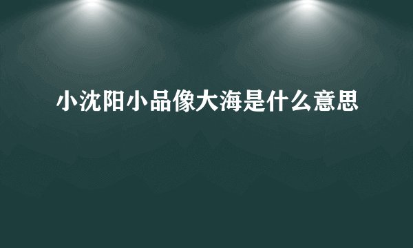 小沈阳小品像大海是什么意思