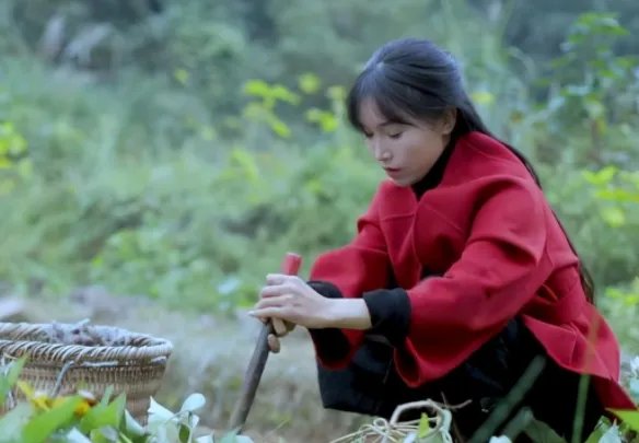 李子柒再次起诉微念,你支持李子柒维权吗?