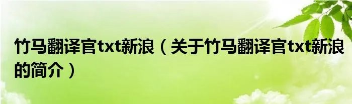 竹马翻译官txt新浪（关于竹马翻译官txt新浪的简介）