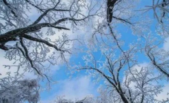 河南多地景区飘起鹅毛大雪,瑞雪代表着什么?