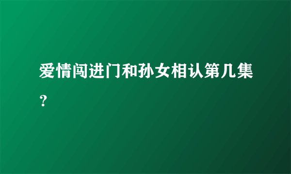 爱情闯进门和孙女相认第几集？