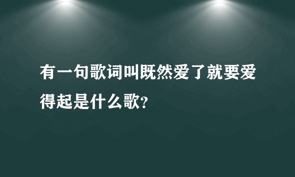 有一句歌词叫既然爱了就要爱得起是什么歌？