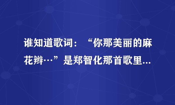 谁知道歌词:“你那美丽的麻花辫…”是郑智化那首歌里面的?歌曲名是什么?