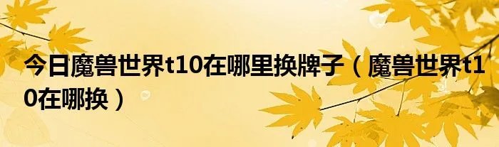今日魔兽世界t10在哪里换牌子（魔兽世界t10在哪换）