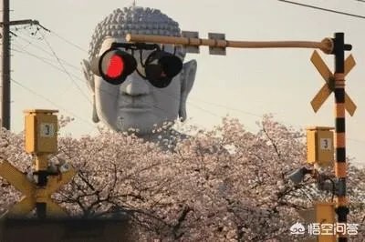 郑州:男子命令机场人员下跪道歉称“跪下是诚意”,机场警方回应, 你怎么看?