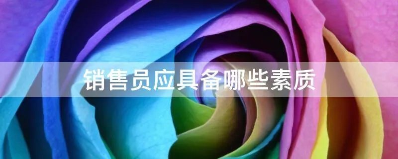 销售员应具备哪些素质