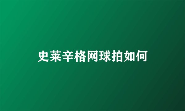 史莱辛格网球拍如何