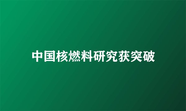 中国核燃料研究获突破