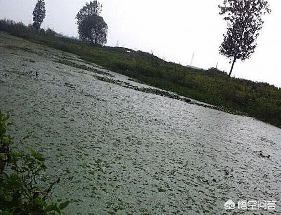 五一收费公路免费,你会出去旅游吗?