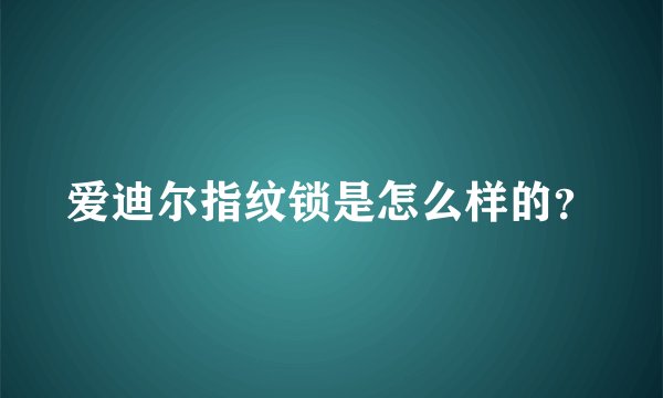 爱迪尔指纹锁是怎么样的？