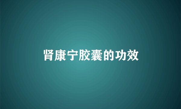 肾康宁胶囊的功效