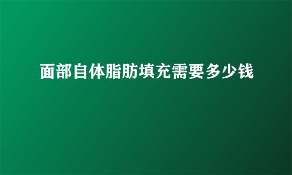 面部自体脂肪填充需要多少钱