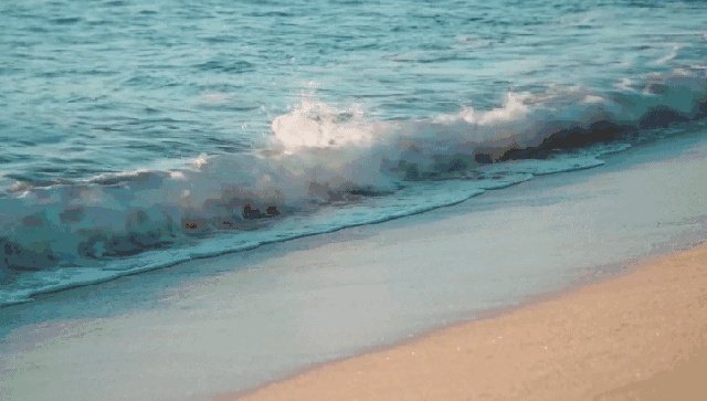 想去惠州看海，哪里海边比较好，附近的酒店性价比怎么样？