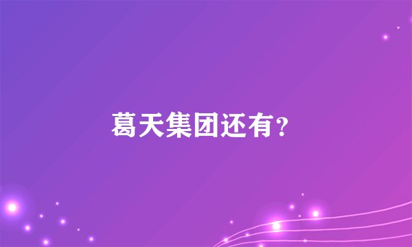 葛天集团还有？