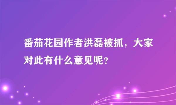 番茄花园作者洪磊被抓，大家对此有什么意见呢？