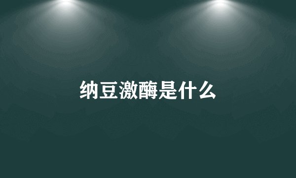 纳豆激酶是什么
