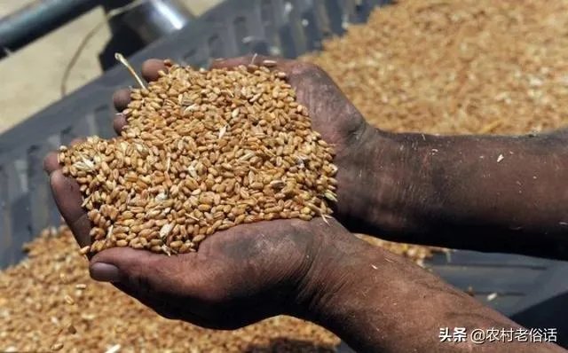 受疫情影响,已有国家禁止出口粮食,你怎么看?