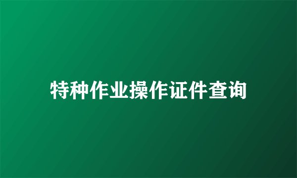 特种作业操作证件查询