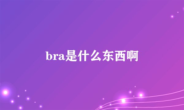 bra是什么东西啊