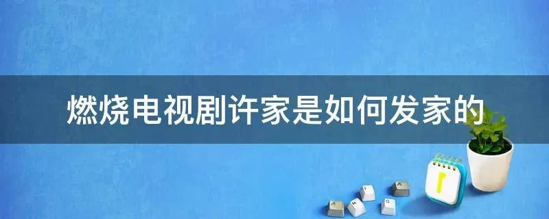 燃烧电视剧许家是如何发家的