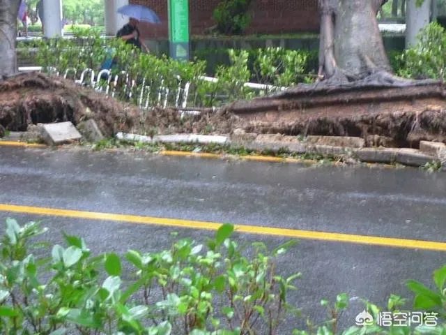 2017台风山竹