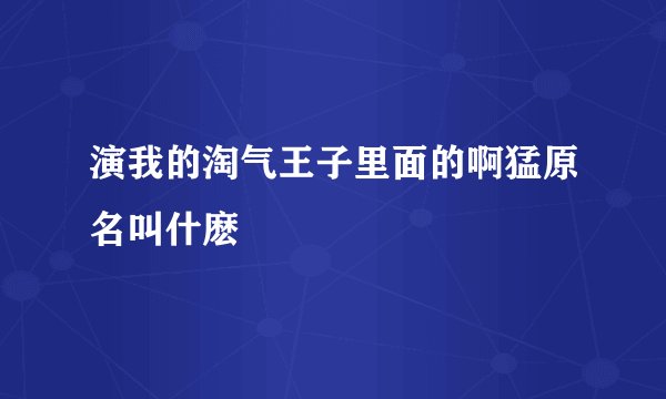 演我的淘气王子里面的啊猛原名叫什麽