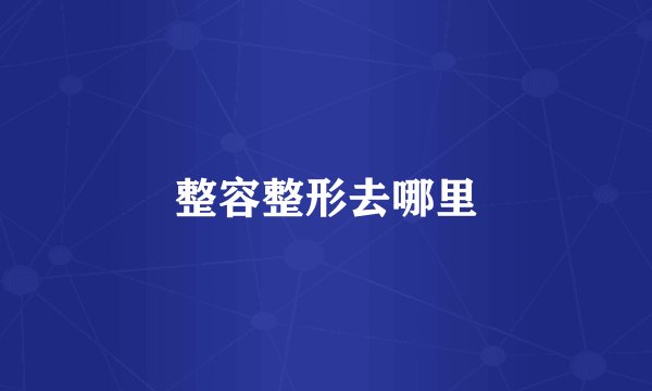 整容整形去哪里