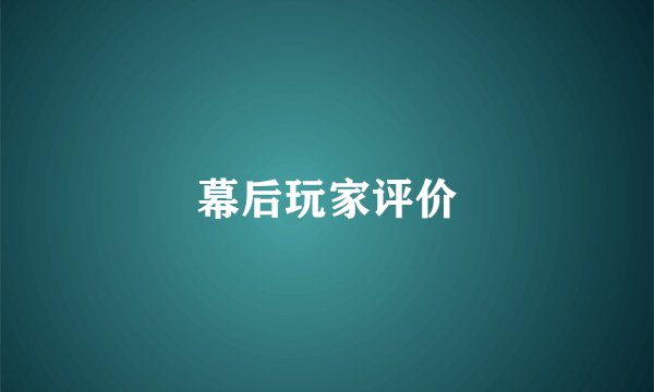幕后玩家评价