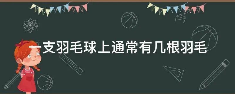 一支羽毛球上通常有几根羽毛