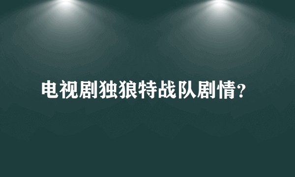 电视剧独狼特战队剧情？