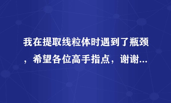 我在提取线粒体时遇到了瓶颈，希望各位高手指点，谢谢！ 我使用的是碧云天的线粒体提取试剂盒，在提取过程