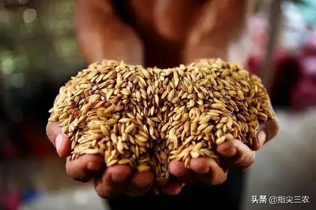 受疫情影响,已有国家禁止出口粮食,你怎么看?
