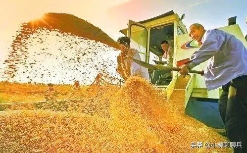 受疫情影响,已有国家禁止出口粮食,你怎么看?